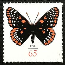 Baltimore Checkerspot Butterfly Pack of Ten 65 Cent Stamps Scott 4603