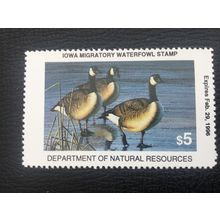ICOLLECTZONE US Iowa 1995 Duck Hunting Stamp VF NH IO24