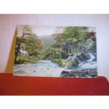 WATERSMEET, LYNMOUTH, DEVON used antique postcard 1907 postmark =