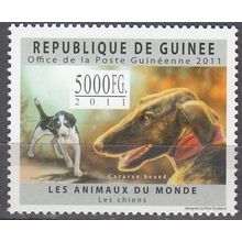 Guinée 2011 Caravan hound Neuf **