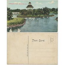 Charleston Hampton Park View Original Vintage Postcard from 1900s