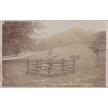 Penrice Park Leven 1904 King Edward VII Tree Scottish Real Photo Postcard