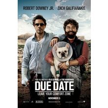 Dumb and Dumber To (2014)_8 Movie Film Poster Canvas iconic design