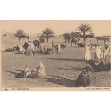 Bou Saada Desert Old Postcard