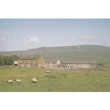 Sheep Grazing at the Station Inn Ribbleshead Spectacular 1992 Postcard