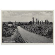 Danbury Common Essex Postcard D2