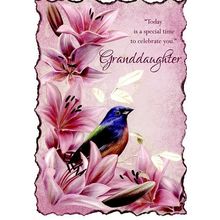 Today Is A Special Time To Celebrate You - Birthday Greeting Card - 06396