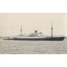 MV Bloemfontein Castle Union Of South Africa Ship Rare Photo