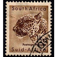 South Africa Suid Afrika 1961 Animal 1 1/2c Used Stamp Leopard