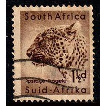 South Africa Suid Afrika 1954 Animal 1 1/2d Used Stamp Leopard