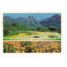 KIRSTENBOSCH NATIONAL BOTANIC GARDENS, SOUTH AFRICA used postcard 1999 pm =