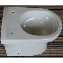 Twyfords Wave BTW Pan in White WC3438 (9" hinge holes)