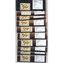 RW38, WHOLESALE LOT OF 10 - ALL XF OG NH PSE GRADED 90