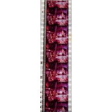 Pulp Fiction. Pk VXM - d084F. 1 STRIP OF 5 - 35MM FILM CELLS PK VXM
