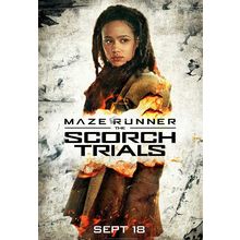 Maze Runner The Scorch Trials 4 Poster Canvas Movie Film Print A0 A1 A2 A3 A4 A5