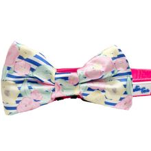 Cutie Ties Dog Bow Tie One Size Preppy Pet