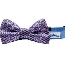 Cutie Ties Dog Bow Tie One Size Pink & Blue