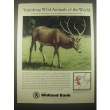 1966 Midland Bank Ad - Pere David's Deer - Vanishing Wild Animals
