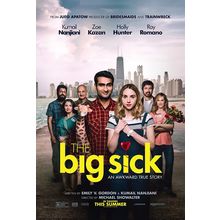 THE BIG SICK (2017) 1 Poster Canvas Movie Film Print A0 A1 A2 A3 A4 A5 A6 Art Wa