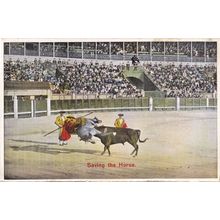Saving The Horse Antique Matador Bullfighting 1920s Postcard