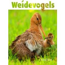 Weidevogels