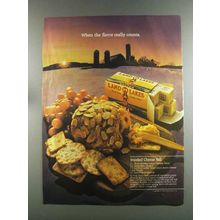 1982 Land O Lakes Butter Ad - Jeweled Cheese Ball