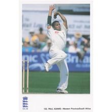 Paul Adams Western Province South Africa TCCB Classic Cricket Photo Postcard