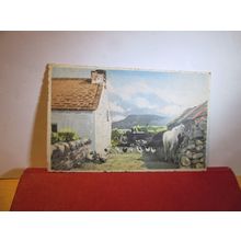 AN IRISH FARMYARD SCENE, unknown artist unused vintage postcard art =