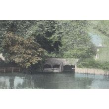 Thetford Waterfall Norfolk Antique Postcard