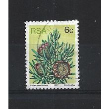 SouthAfrica.SG419 6c Protea Canaliculata.Fine Used.Sep25d