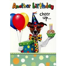 Another Birthday Cheer Up - Humorous Greeting Card - 01134-1