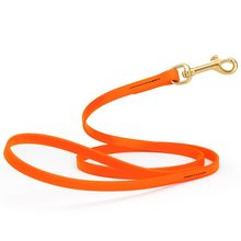 Dog Pet Leash with Brass Hardware W 1/2” L 4 FT Hunter Orange