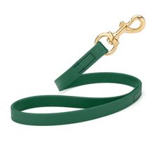 Dog Pet Leash with Brass Hardware W 3/4” L 20”, Hunter Green