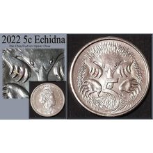 Australia 2022 5c Echidna ~ Die Chip/Cud on Front Claw - Circulated [1a1]