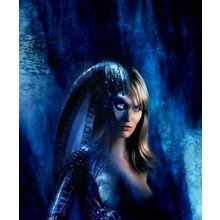 Species 3 01 Poster Canvas Movie Film Print A0 A1 A2 A3 A4 A5 A6 Art Wall Decora