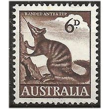 Australia 1960 SG316 6d Brown NUMBAT Unmounted Mint . .. .