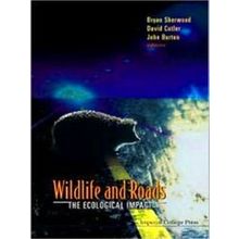 Wildlife And Roads