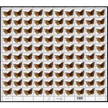 Common Buckeye Butterfly Sheet of One Hundred 24 Cent Postage Stamps Scott 4000