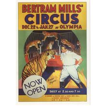 Bertram Mills Circus Olympia London Tigers & Trainers Postcard