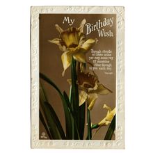Postcard UK greetings My Birthday Wish yellow flowers embossed edge posted 1926