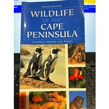 Wildlife Of The Cape Peninsula