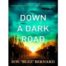 When Heroes Flew Down A Dark Road