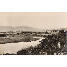 Ilovo River South Africa Real Photo Old Postcard