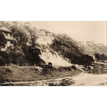 The Baakens River Valley Port Elizabeth South Africa RPC Postcard