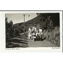 Portugal MADEIRA Funchal Carro de Moute Postcard by Perestrellos