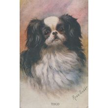 Rosa Bebb Painnting Oilette Togo Dog Antique Postcard