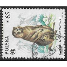 1984 Michel 2951 - fine used (o)