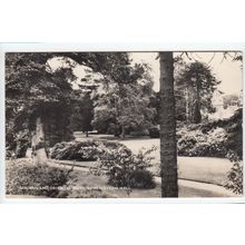 Gardens and Oriental Trees Somerleyton Hall Postcard RP Suffolk