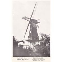Bushey Heath Windmill Hertfordshire Limited RPC Postcard