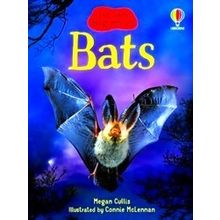 Beginners Bats - Megan Cullis